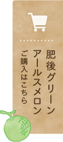 肥後グリーンアールスメロンご購入はこちら